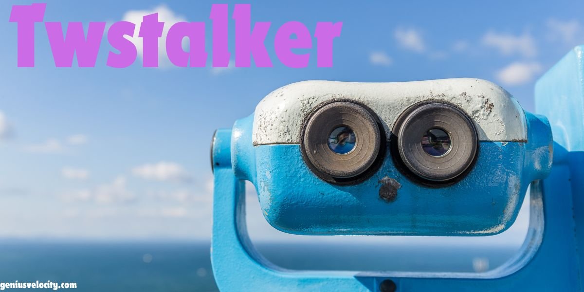 What is Twstalker and How to Use: Ultimate Guide to Browsing on X